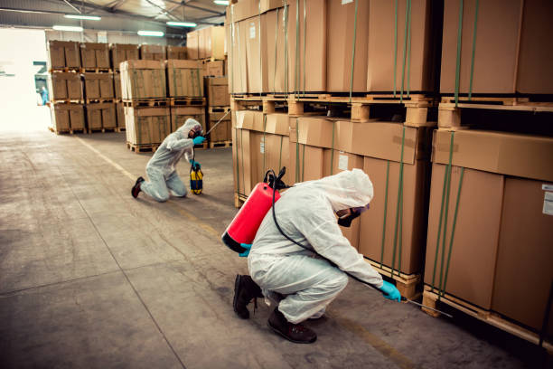Best Flea Control Services  in Ramsey, NJ