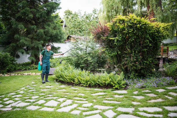 Best Best Pest Control Companies  in Ramsey, NJ
