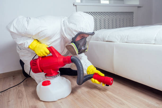 Best Local Pest Control Services  in Ramsey, NJ