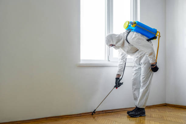 Best Cockroach Control Services  in Ramsey, NJ