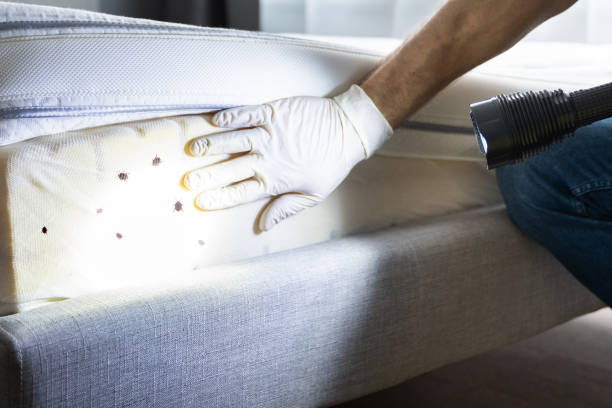 Best Affordable Pest Control Services  in Ramsey, NJ