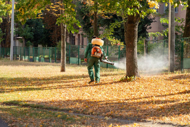 Best Bird Control  in Ramsey, NJ